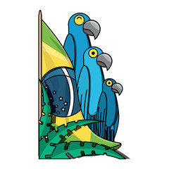 Brazilian flag with macaw birds over white background, vector illustration