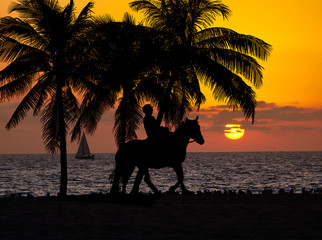 California sunset horseback riding on the beach.