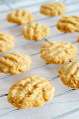 Cereal cookie, selective focus