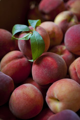 Peach with Leaves on Group of Peaches