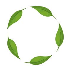 leafs plants ecology icons vector illustration design