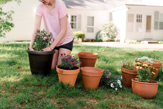 teen potting plants  & flowers on the lawn