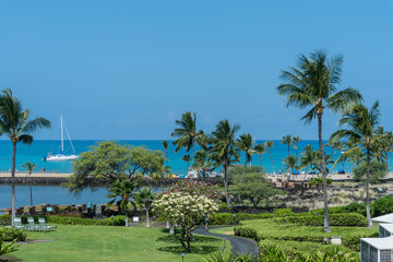 Fototapeta premium Beautiful Kohala coast vista on the Big Island of Hawaii