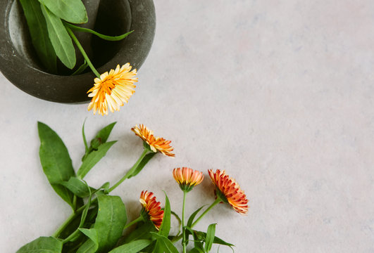Calendula flowers