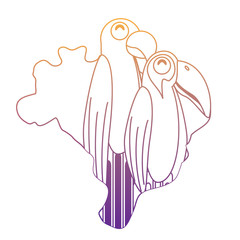 Brazil map with toucan and macaw birds over white background, vector illustration