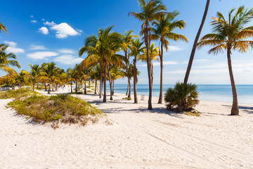 Obraz premium Crandon Park Beach in Miami