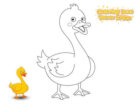 Coloring The Cute Cartoon Duck. Educational Game for Kids. Vector illustration.