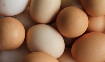 Eggs fresh from the farm