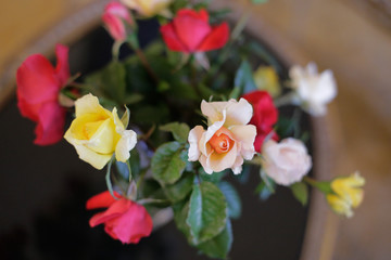 Diffferent colours roses in a vase