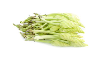 ipomoea alba on white background