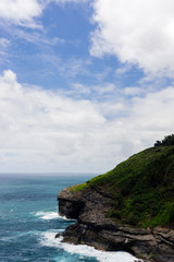 Ocean shore in Hawaii on a sunny day