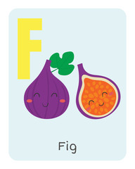 Vegetable and fruit english alphabet. F letter. Fig vector illustration.