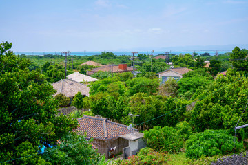 Fototapeta na wymiar 竹富島の風景