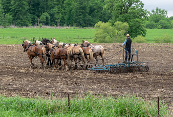 Obraz premium Old Fashioned Farming