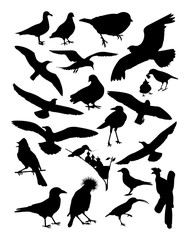 Silhouette of birds. Good use for symbol, logo, web icon, mascot, sign, or any design you want.