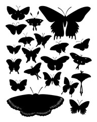 Silhouette of butterflies. Good use for symbol, logo, web icon, mascot, sign, or any design you want.