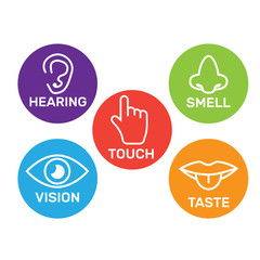 5 senses icon collection color. Five senses icon set