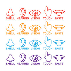 five senses icon. Sight, smell, hearing, touch, taste icons vector
