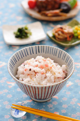 うめかりかりごはん