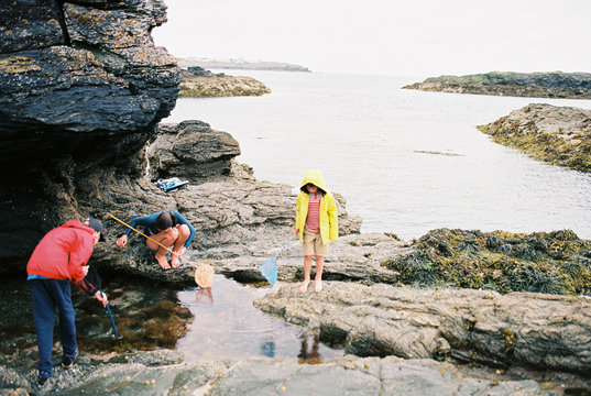 kids looking fro crabs at the seaside