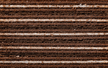 cross sections of vanilla flavor wafer blocks as background