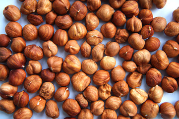scattered hazelnuts on a white background