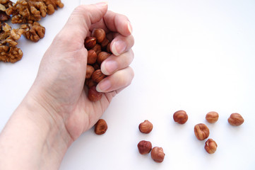 clenched fistful of peeled hazelnuts