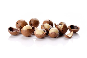 Macadamia nut with shell on white background