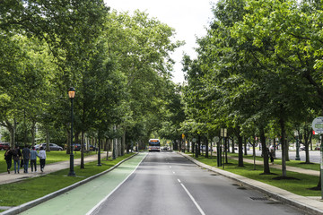 Bus approaching in a tree road street