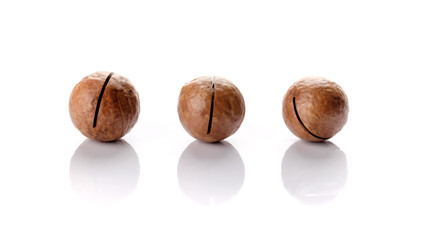 Macadamia nut with shell on white background