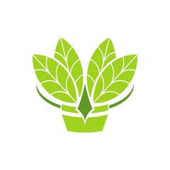 Crown Leaf logo design template concept for your company identity