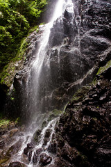 Obraz premium 日本吉野の御船の滝