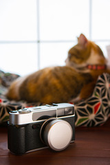 Fototapety na wymiar - Fototapeta24.pl