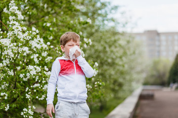Fototapeta premium allergic reaction to the flowering