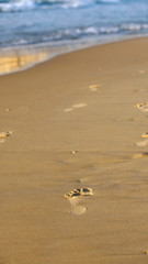 feet footprints in the sand