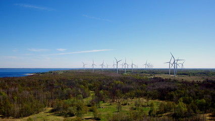 Elektrownie wiatrowe nad estońskim morzem, Bałtykiem © Konrad_elx