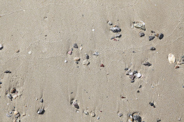 Fototapeta na wymiar Sand at the beach