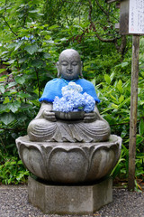 明月院の紫陽花