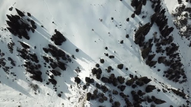 The drone removes the snowy peaks of the mountains in spruce forests at 90 degrees. There is a path that people have trampled on, the slopes of the mountains and the gorge.