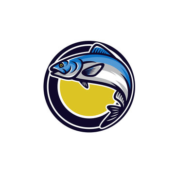 Fish vector mascot icon illustration
