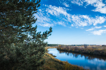 Obraz premium River landscape in summer