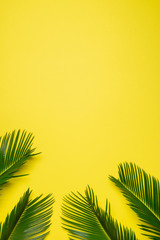 Flat lay palm leaves on yellow background