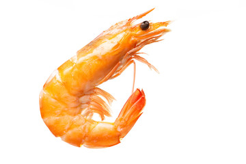 Shrimps. Prawns  on a White Background. Seafood