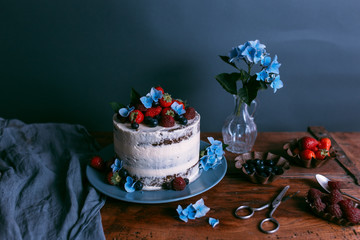berry cake still life