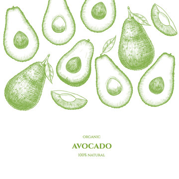 Vector frame with avocado. Hand drawn. Vintage style