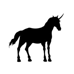 Black silhouette of elven unicorn on white background. Wild horse icon. Fantasy animal. Detailed isolated image. Vector illustration