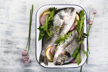 Raw dorado fish or  Sea bream