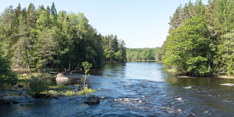 Swedish river and natural area in spring