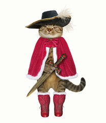 The cat musketeer in the hat holds a sword. White background.