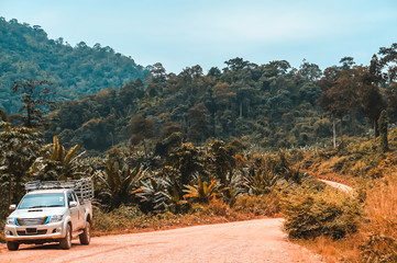 The car on the  mountain  with tropical green forest